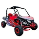 off road go kart
